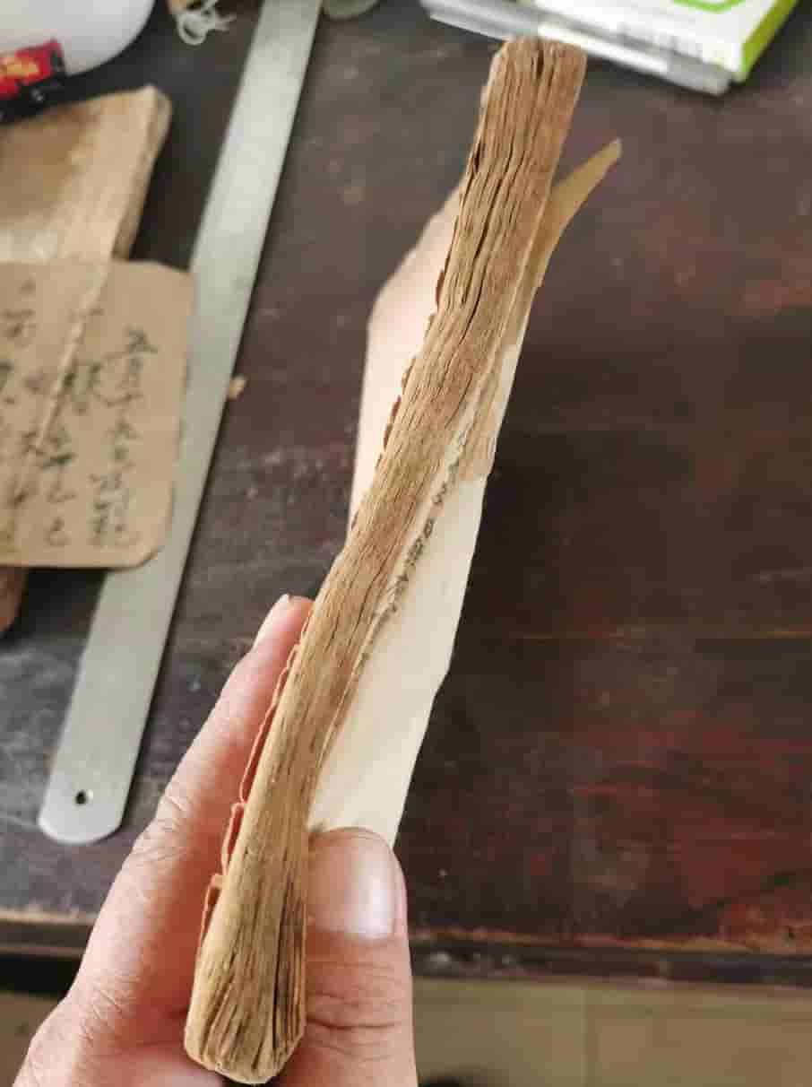 《玄元鬼胆经》鬼谷子秘术