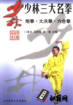 [武功秘籍]少林三大名拳：炮拳·大洪拳·六合拳.pdf