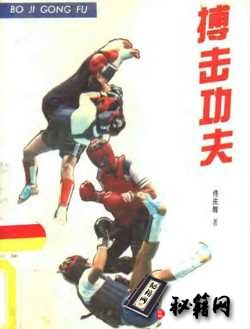 [武功秘籍]搏击功夫（佟庆辉）.pdf