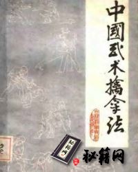 [武功秘籍]中国武术擒拿法（王哲仁）.pdf