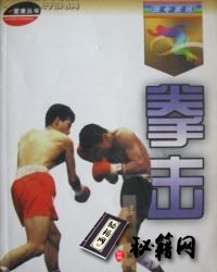 [武功秘籍]跟专家练拳击.pdf