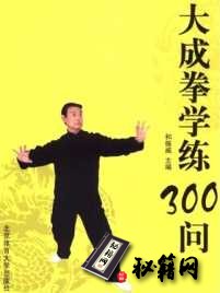 [武功秘籍]大成拳学练300问（和振威）.pdf
