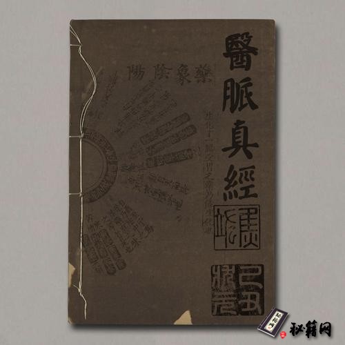 《醫脈真經》