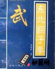 [武功秘籍]东北翻子拳 杨晓军著.pdf