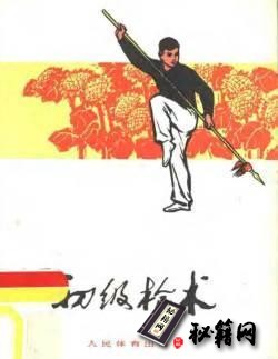 [武功秘籍]初级枪术.pdf