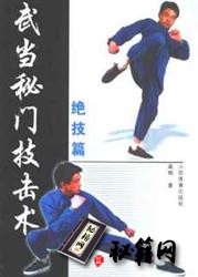 [武功秘籍]武当秘门技击术——绝技篇.pdf